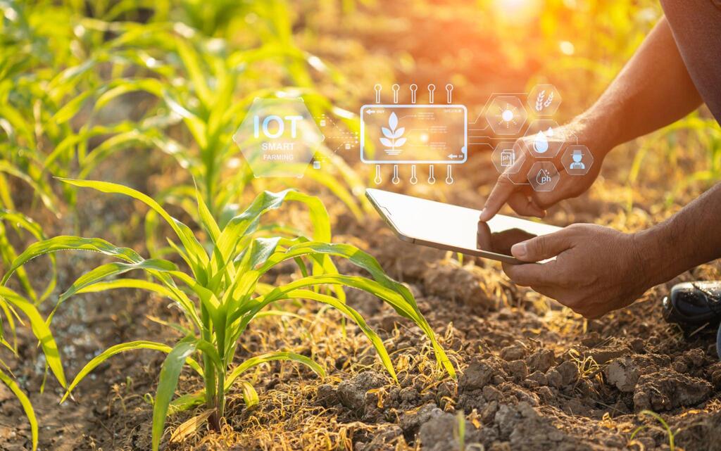 iot system for business
